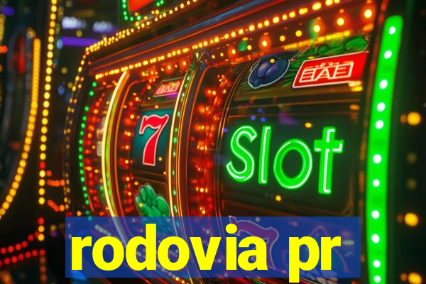 rodovia pr-317 km 155 onde fica